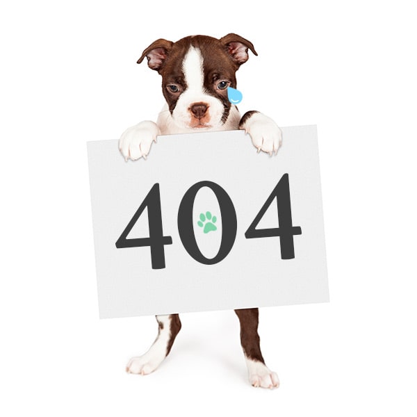 404 not found sad puppy